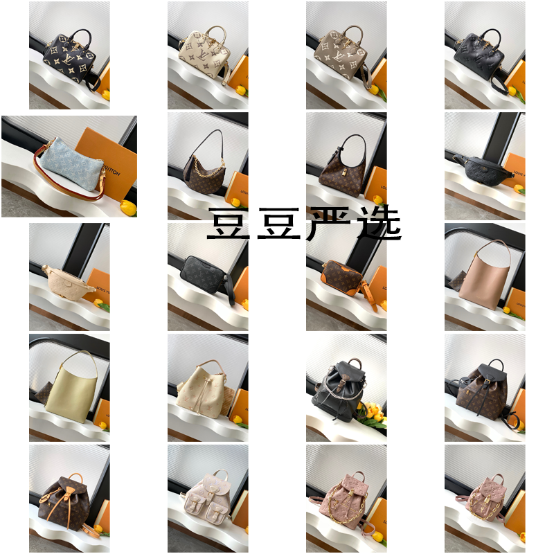 LV bag (9)