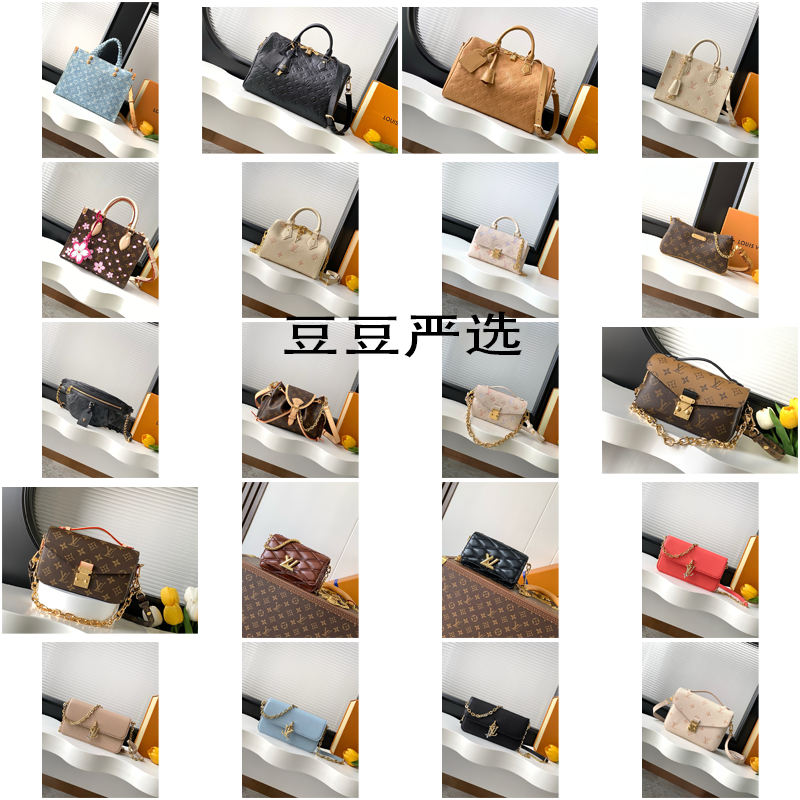 LV bag (10)