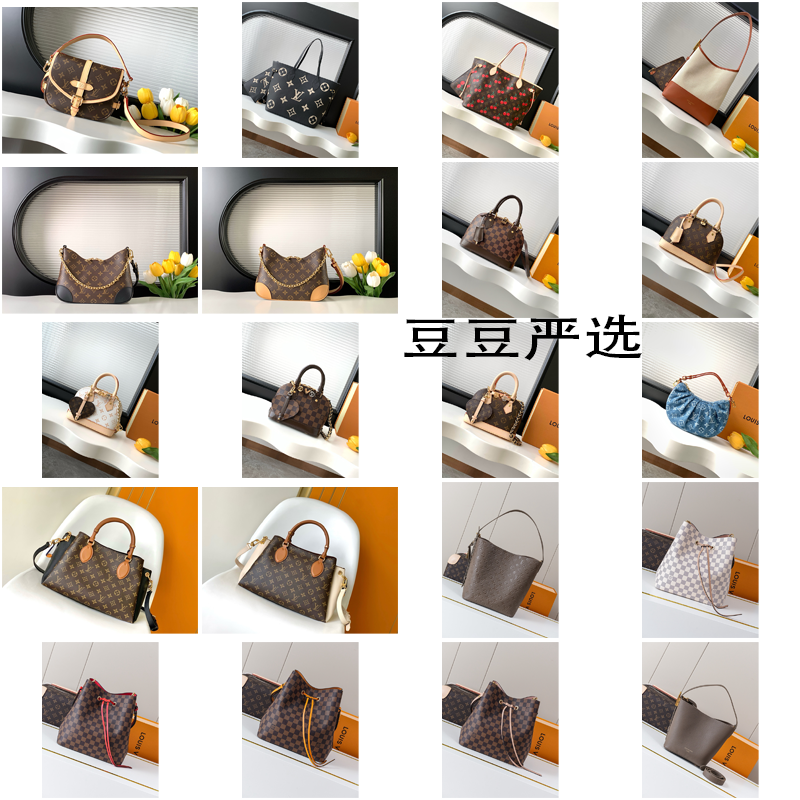 LV bag (11)